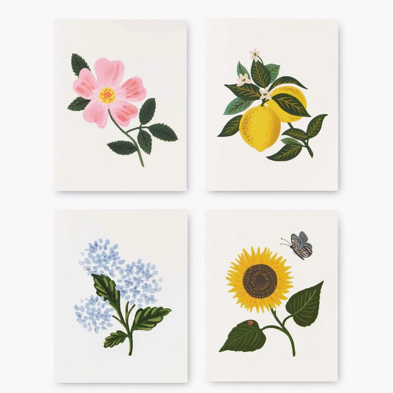 Botanical Blossom Assorted Card Set