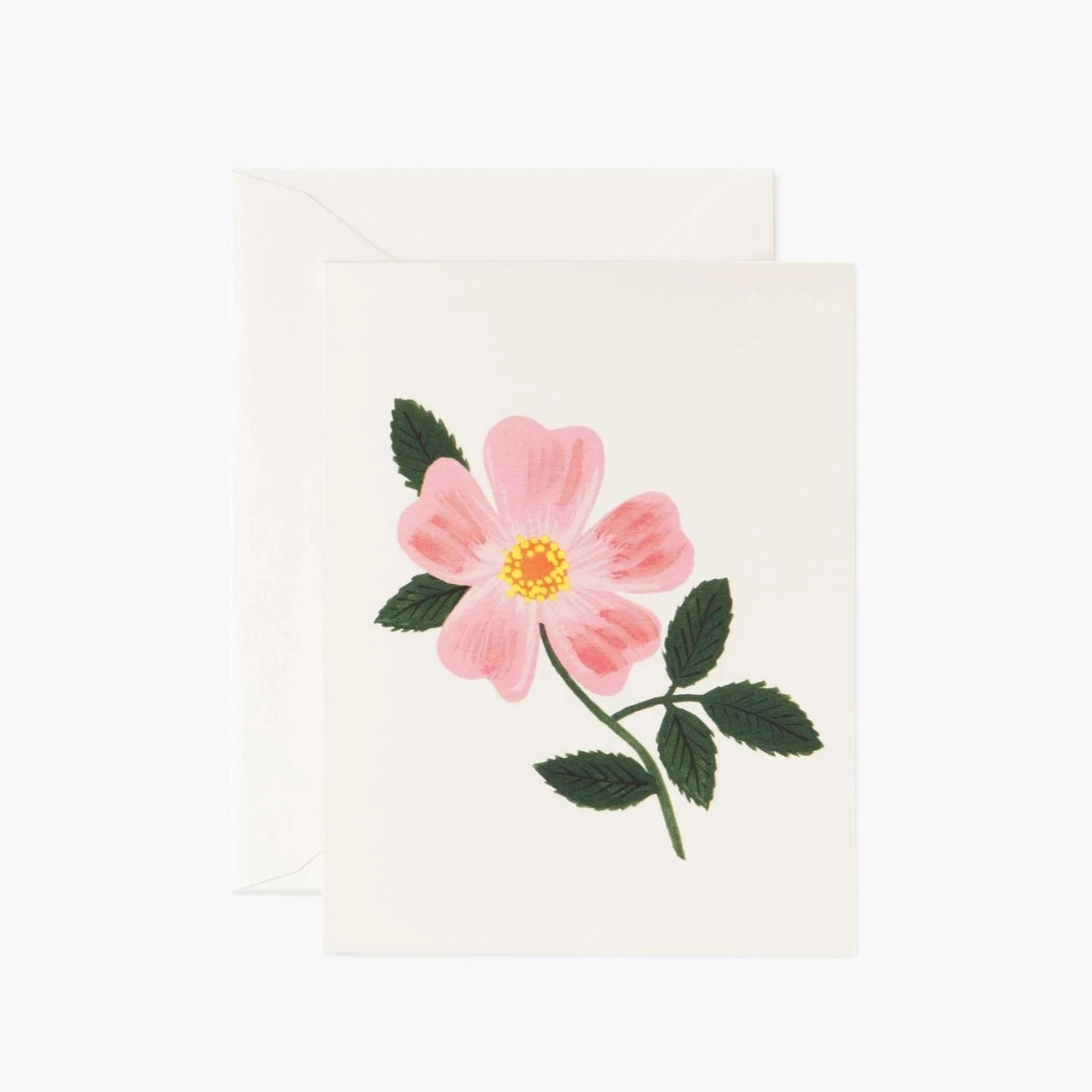 Wild Prairie Rose Greeting Card