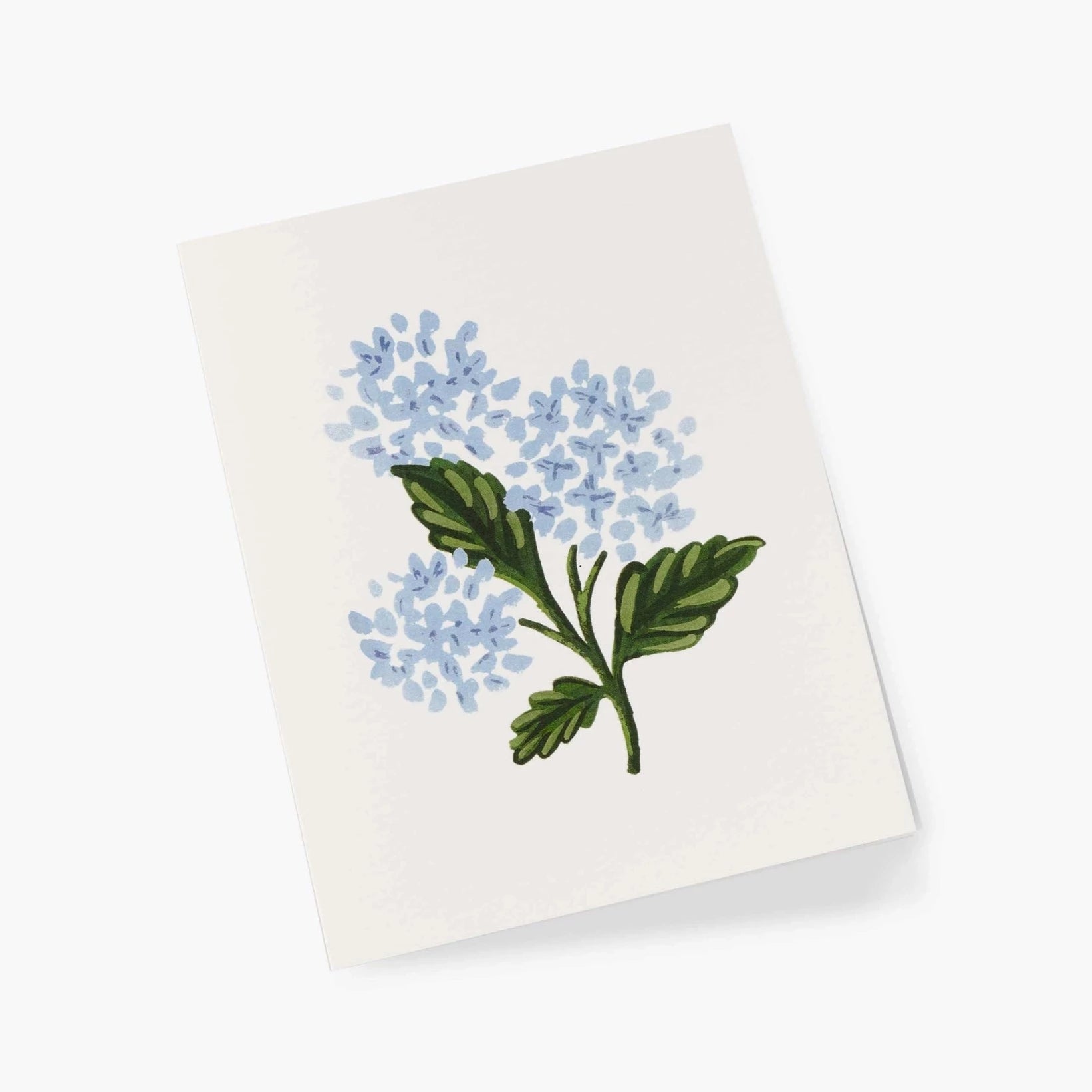 Hydrangea Bloom Greeting Card
