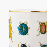 Porcelain Vase Beetles & Bugs