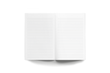 Denik - Lemon Grid Classic Layflat Notebook Journal