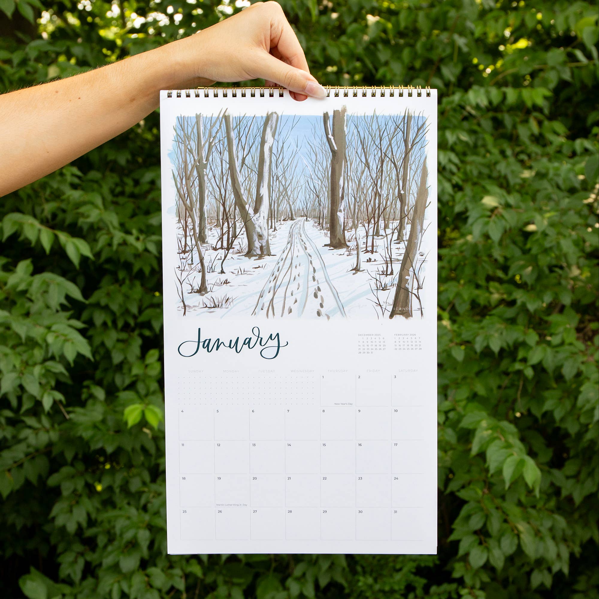 2026 Land & Sky Landscapes Wall Calendar