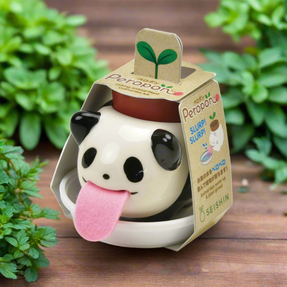 plant pot with tongue Panda Cultivation Kit (Basil)– Bird Box Gifts