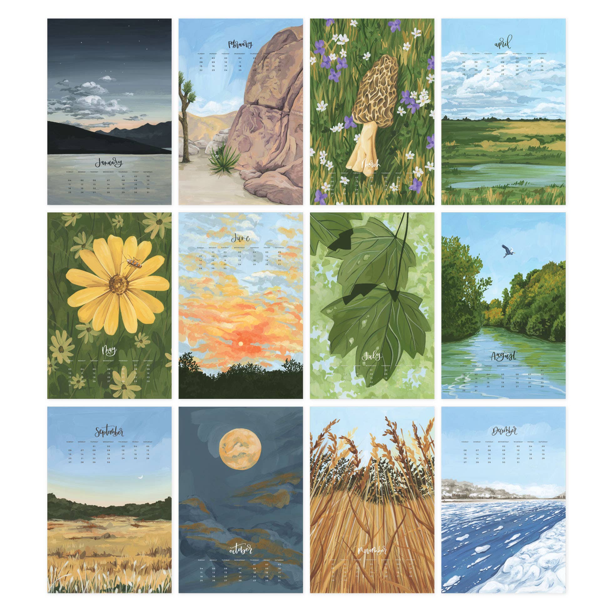 2026 XL Calendar - Natural World