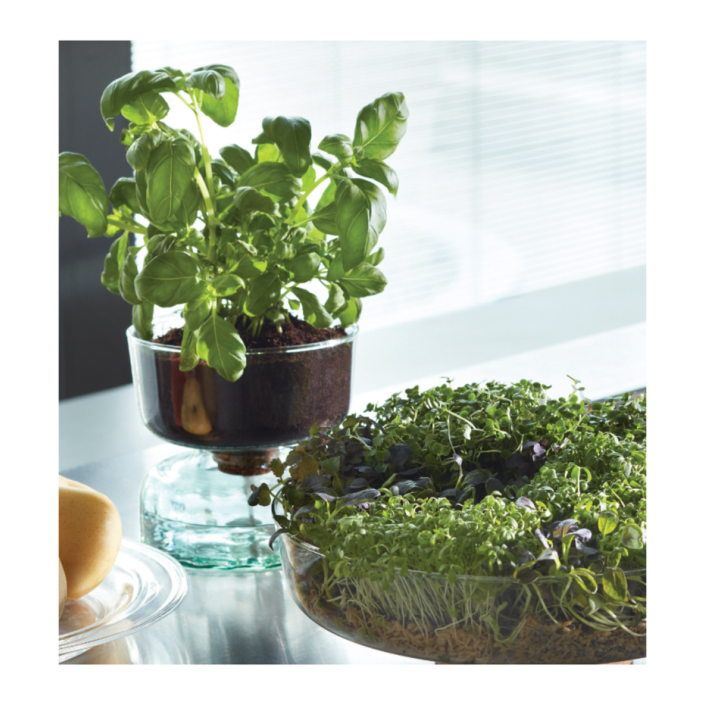canopy self watering planter LSA Canopy Self-Watering Planter
