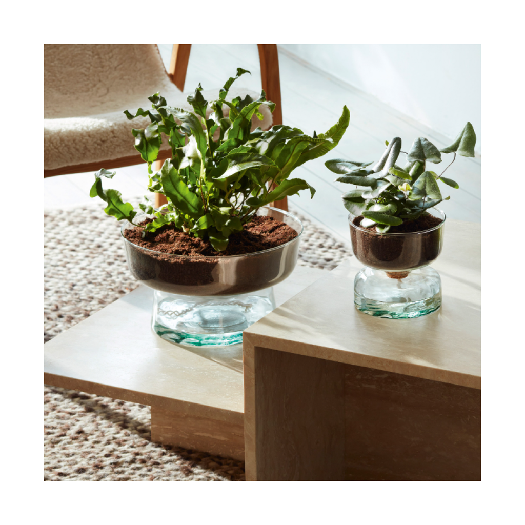 lsa canopy self watering planter Canopy Self-Watering Planter– Bird Box Gifts