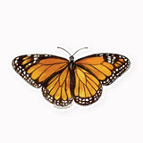 Botanica Paper Co. - MONARCH BUTTERFLY | CLEAR VINYL STICKER