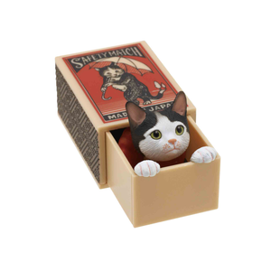 Cat Peek Matchbox Blind Box
