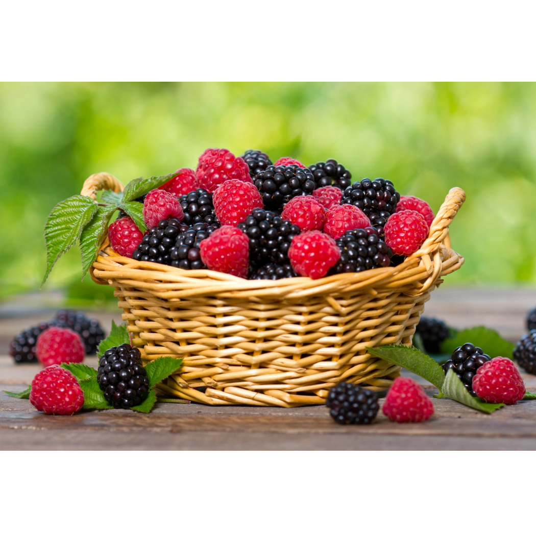 Raspberry/Blackberry - Traditions de France