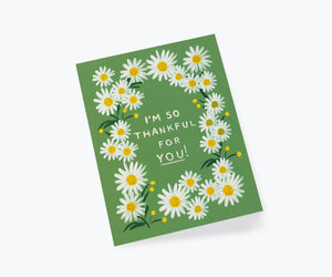 Daisies Thankful for You - Boxed Set