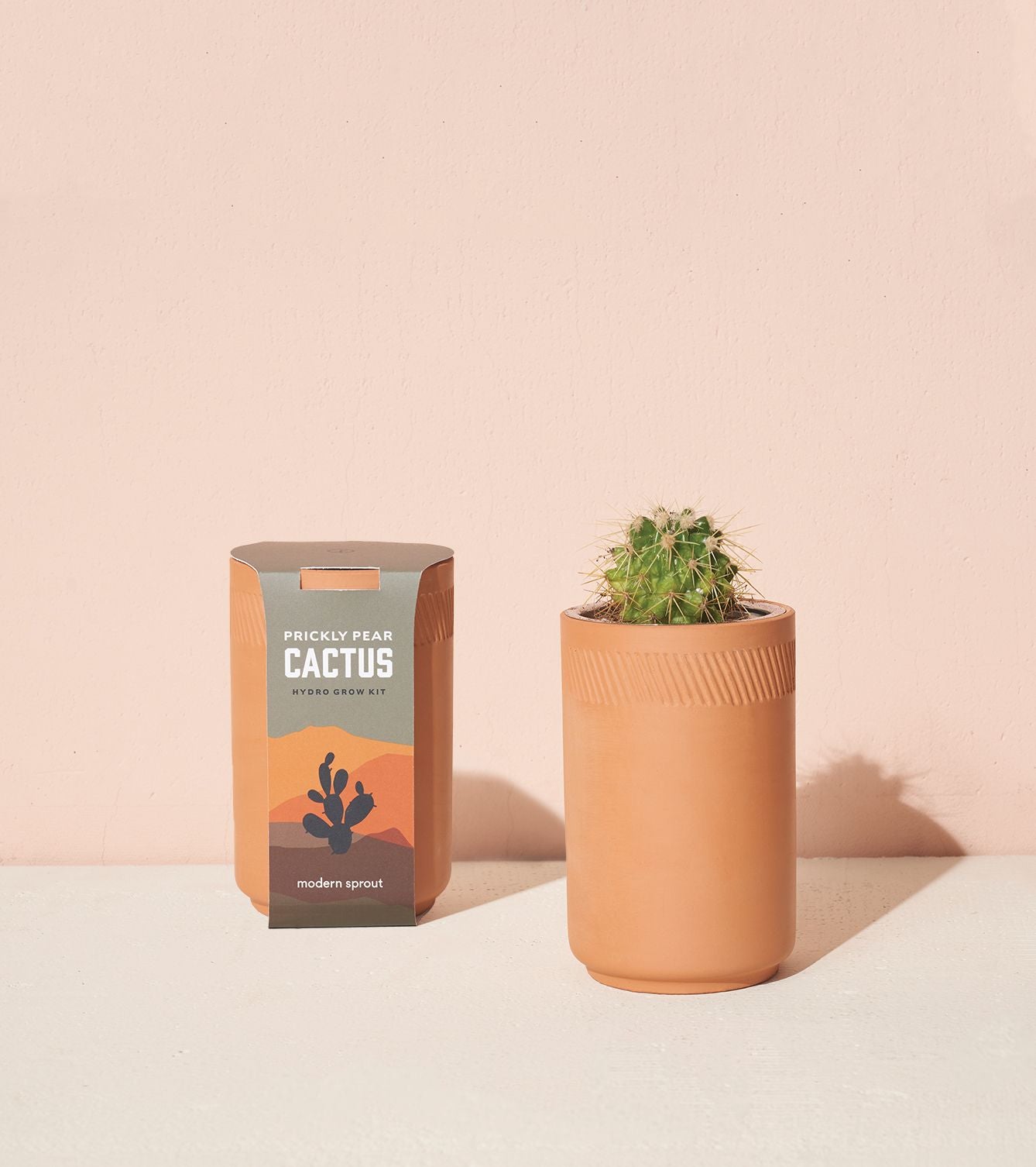 Terracotta Grow Kit - Cactus