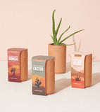Terracotta Grow Kit - Aloe